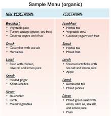 Repairvite Primo Gut Repair Program Primo Health Coach Healing Diet Gut Healing Diet Sample Menu