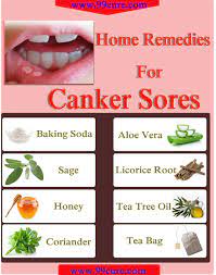 8 Home Remedies For Canker Sores : Getatoz