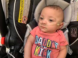 Malaya has a set of lungs