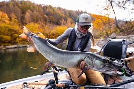 If anyone needs me, I'll be camping