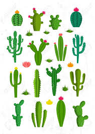 A cactus is a kind of a plant adapted to hot, dry climates. Cactus Icons With Flowers Different Types Of Cactus Plants Royalty Free Cliparts Vectors And Stock Illustration Image 98459028