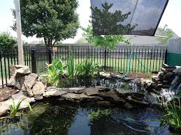 Good pond filters? - Habitats and Equipment - Turtle Forum