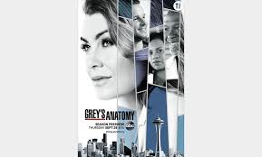 Saison 13 grey's anatomy saison 14 grey's anatomy saison 15 grey's anatomy saison 16 grey's anatomy saison 17. Grey S Anatomy Saison 14 Voir L Episode 10 En Streaming Vost Terrafemina