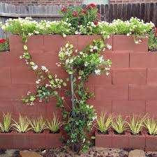Then read on to find easy ways to hide it! Cinder Block Wall Built To Hide Pool Pump Block Sound Backyard Fences Fence Landscaping Garden Fence