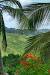 National Botanical Gardens Waterford Barbados