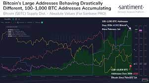 Then again, if bitcoin crashes. Bitcoin Uptrend Not Over Big Whales Aren T Selling Btc Data Shows Coinvedi Cryptocurrency Latest News Daily Bitcoin Altcoin Buzz