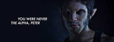 i can do this all day — The Definition of an Alpha