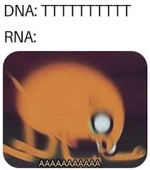 Download animal cell stock photos. Mitochondria Is The Powerhouse Of The Cell Album On Imgur