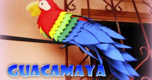 Saludos a todos mis suscriptores y amigos de honduras, les traigo este video de su hermosa ave nacional (la guacamaya) es un ave de un plumaje muy colorido. Pin En Fsrol