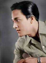 Francisco salcedo film career and legacy