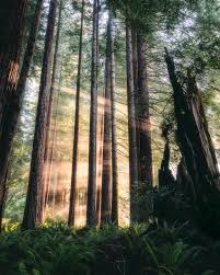 Southern united states landscape stock photos and images. Kyle Reader Reader Outside Landscape Photographer Based In The Us