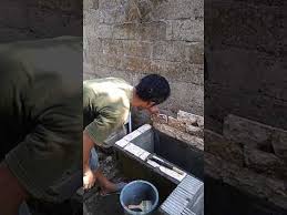 Batu alam cocok untuk kolam ikan bergaya natural maupun minimalis. Cara Pasang Batu Alam Kolam Ikan Koi Lokal Pak Tukang Masok Pak Eko Youtube