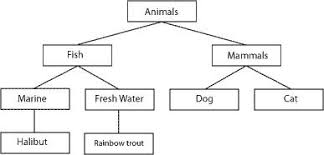 Graphic Tree Diagram Wiring Schematic Diagram