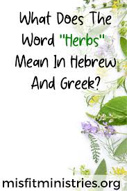 What Does The Word Herbs Mean In Hebrew And Greek In 2020 Bible Words Words Bible Study Group