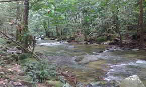 Air terjun dapat berupa buatan yang biasa digunakan di taman. 5 Port Air Terjun Best Yang Berdekatan Kuala Lumpur Gempak