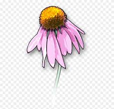 Get ready for some drop dead gorgeous wedding bouquet ideas from our favorite floral designers. Drawing Death Download Dead Flowers Art Wedding Bouquet Clipart Stunning Free Transparent Png Clipart Images Free Download