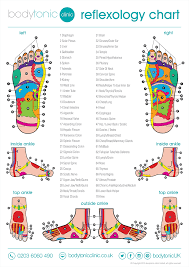 65 bright reflexology chart arch