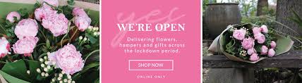 We did not find results for: Flower Delivery Sydney Australia Flowers For Everyone