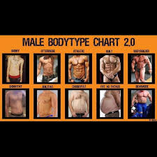 Male Body Type Athletic Body Types Body Types Ideal Body