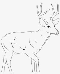 The varied and interesting coloration and patterns of. Deer Coloring Pages Coloringsuite Hunting Drawing Transparent Png 1430x1690 Free Download On Nicepng