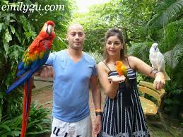 The kuala lumpur bird park was established in 1991 and was officially opened by her majesty the queen of malaysia, tunku bainun. Kl Bird Park Kuala Lumpur Lake Gardens From Emily To You