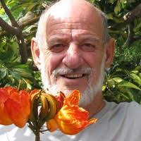 PDF) Kerem et al 2016 The rough toothed dolphin in the eastern Med