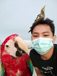 Are your birds scared of a certain color because my birds hate the color red