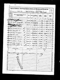 PVT John Moses Fields (1833-1888)