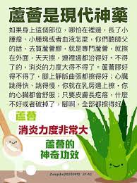 蘆薈是現代神藥 消炎力度非常大zongshu20200912 37 42 師父 我教你們一個方法 痞客邦 health knowledge physical health self care activities