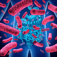 Doencas Causadas Por Bacterias Lista Sintomas E Tratamento