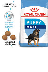 royal canin maxi puppy 1 kg in 2021 animal protein animal fats food animals