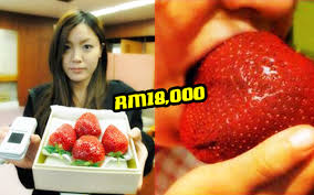 Makanan ini sangat popular kerana di setiap tempat di jepun ada jual makanan ini. Kenapa Buah Buahan Di Jepun Sangat Mahal Dan Dianggap Makanan Mewah Iluminasi