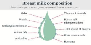 Breast Milk Composition Over Time What S In It And How Does It Change