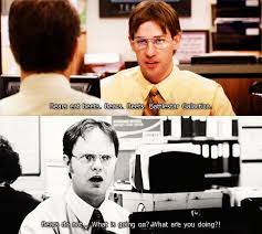 Smells Like Socks Tastes Like Apple Schnapps Jim Question What Kind Of Bear Is Best Dwight
