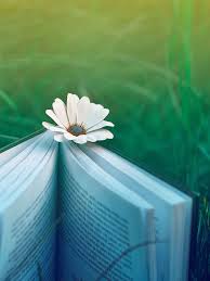 See more ideas about wallpaper, bling wallpaper, wall coverings. Books Aesthetic Wallpapers Wallpaper Cave