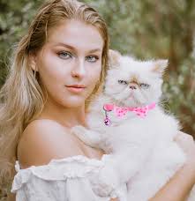 Amazon.co.jp: 16個 かわいい猫の首輪 分離ベル付き 男の子 猫 女の子 猫 ギフト : Pet Supplies