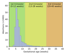 In england, scotland and wales, you can legally have an abortion up to 23 weeks and 6 days of pregnancy, in line with the abortion act 1967. Abortion In The United Kingdom Wikipedia