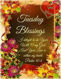 We did not find results for: Tuesday Blessings Happy Tuesday Quotes Morning Blessings Blessed Quotes
