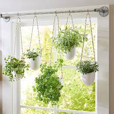Herb Care Guide Window Herb Garden Hanging Herb Gardens Diy Herb Garden