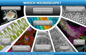 Many educational facilities use the procedure as an experiment for students to explore the principles of microscopy and the identification of cells. Light Microscopes Science Learning Hub