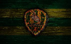 Download original png (28.74 k). Download Wallpapers Den Haag Fc Fire Logo Eredivisie Green And Yellow Lines Dutch Football Club Grunge Football Soccer Logo Ado Den Haag Wooden Texture Holland Netherlands For Desktop Free Pictures For Desktop