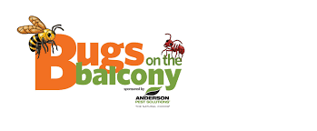 Cannot be used with any other coupons or discounts. Bugs On The Balcony Returns To Betty Brinn May 30th News