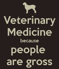 After the group vet appointment during which lyle scratched the vet, the vet. Veterinary Medicine Because People Are Gross Vet Medicine Vet Tech Quotes Veterinarians Medicine