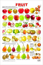 Buy Fruit Chart 1 Book Online At Low Prices In India Fruit