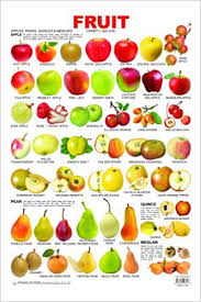 Nutrients In Vegetables And Fruits Chart