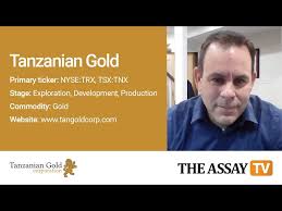 Its mineral properties are located in the united republic of tanzania. The Assay Tv Stephen Mullowney Chief Executive Officer Tanzanian Gold Corp Tsx Tnx Nyse Trx The Assay