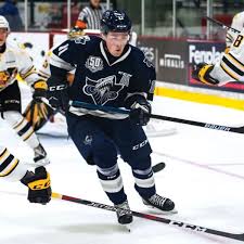 5,000 brands of furniture, lighting, cookware, and more. Future Watch Projecting The Top 10 Picks At The 2020 Draft The Hockey News On Sports Illustrated