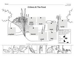 Parts Of A Pond Worksheet Google Search Pond Animals Pond Life Pond Habitat
