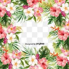 Leaf Vintage Palm Leaf Watercolor Tropical Plants Plumeria Rubra Flowers And Plants Lace Frame Flower C Flower Border Clipart Flower Border Png Flower Drawing