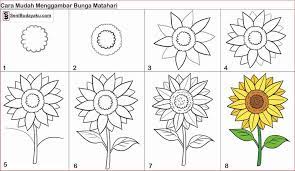 Umum bunga matahari buku mewarnai halaman mewarnai gambar png. 30 Gambar Sketsa Bunga Mudah Bunga Matahari Mawar Tulip Sakura Teratai Sepatu Melati Dll Seni Budayaku